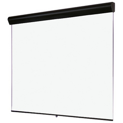 Wall Mount Screen